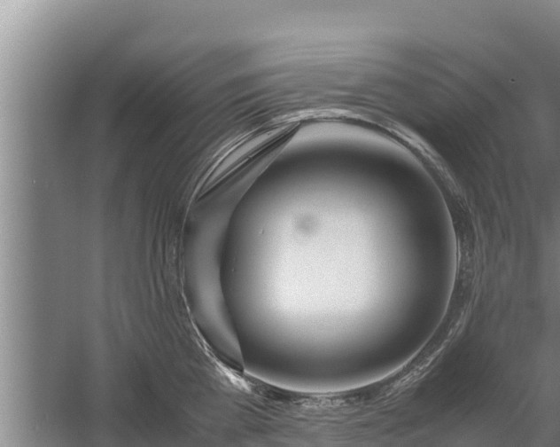 X0000058130809200509301951