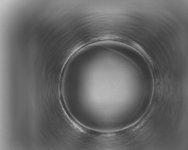 X0000058130810200509301951