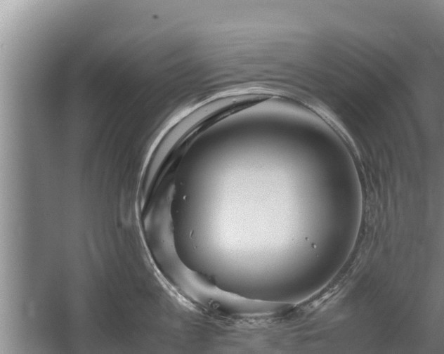 X0000058130813200509301951