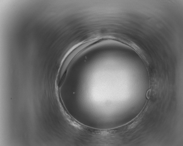 X0000058130814200509301951