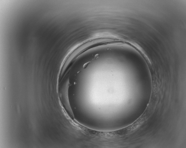 X0000058130815200509301951