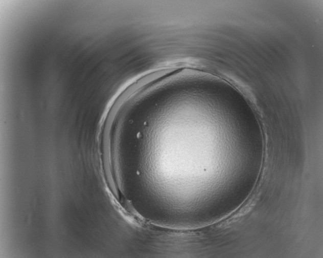 X0000058130816200509301951