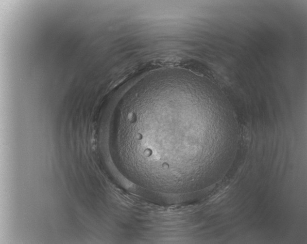 X0000058130818200509301950