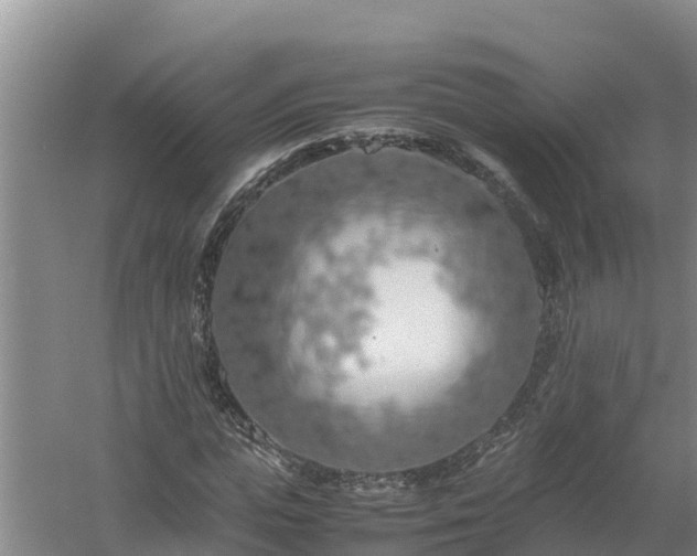 X0000058130823200509301950