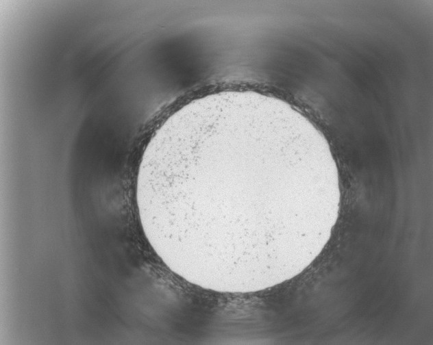 X0000058130824200509301950