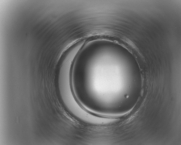 X0000058130826200509301950