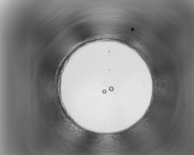 X0000058130828200509301950