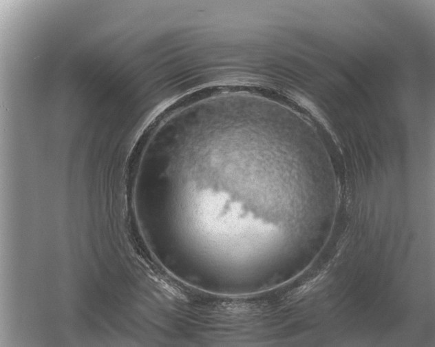 X0000058130829200509301950