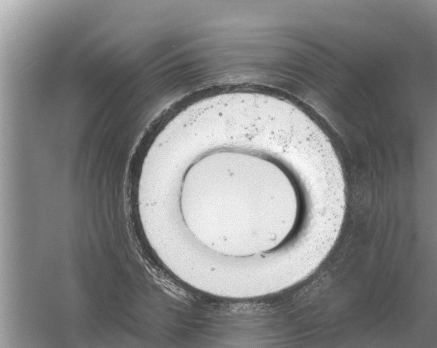 X0000058130832200509301950