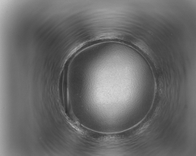 X0000058130834200509301950