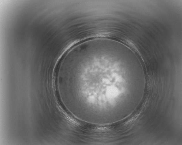 X0000058130835200509301950