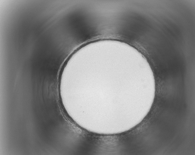 X0000058130836200509301950