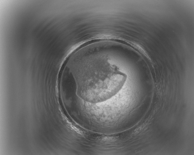 X0000058130839200509301950