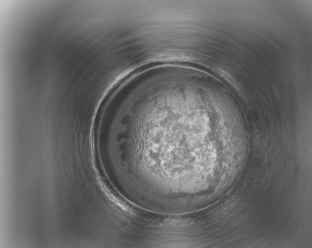 X0000058130840200509301950