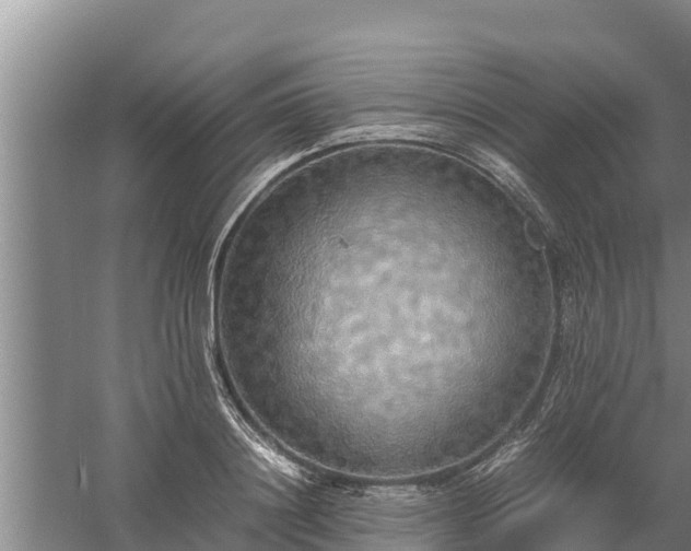 X0000058130844200509301951