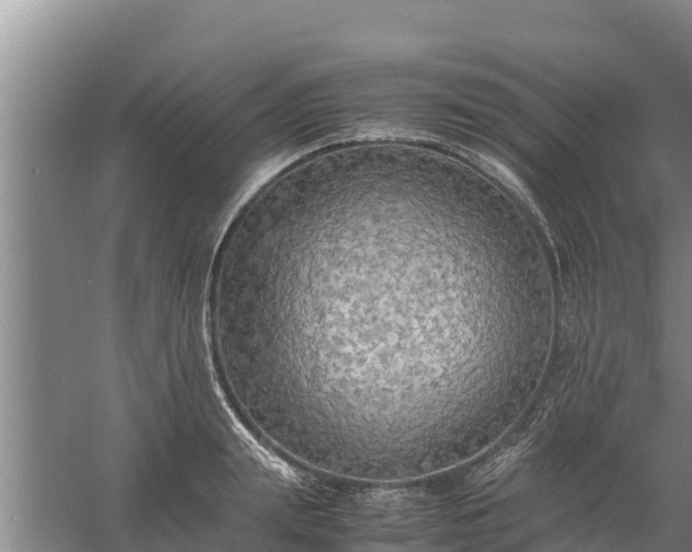 X0000058130847200509301951