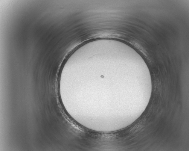 X0000058130848200509301951