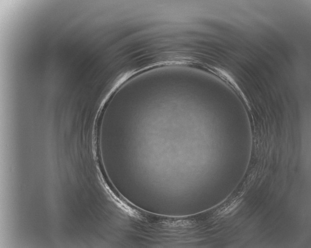 X0000058130851200509301951