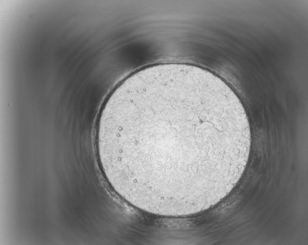 X0000058130856200509301951