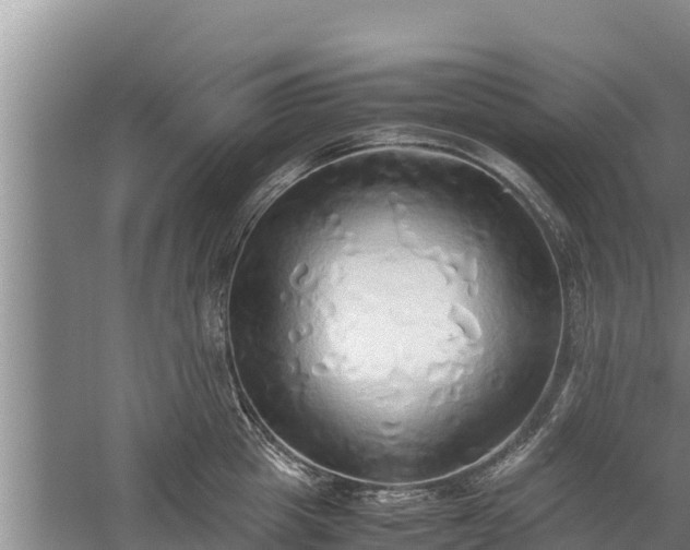 X0000058130857200509301951