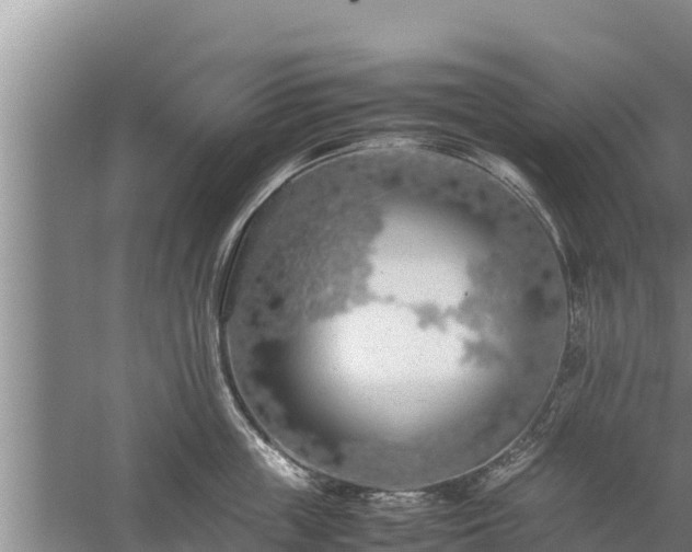 X0000058130859200509301951