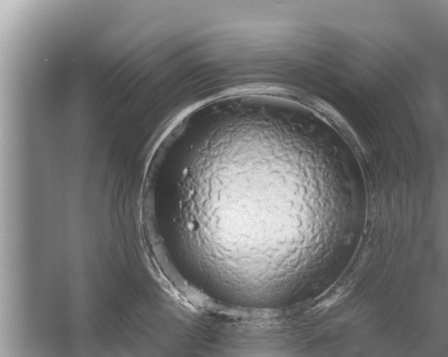 X0000058130860200509301951