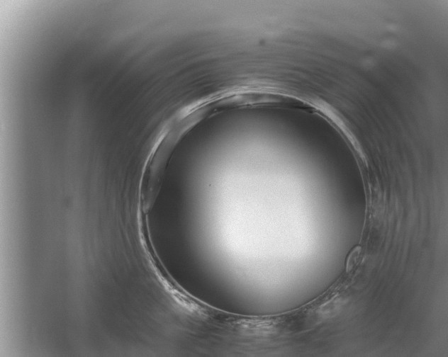 X0000058130861200509301951