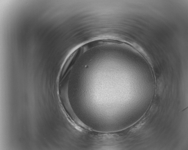 X0000058130862200509301951