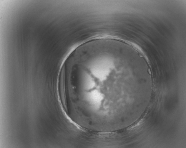 X0000058130863200509301951