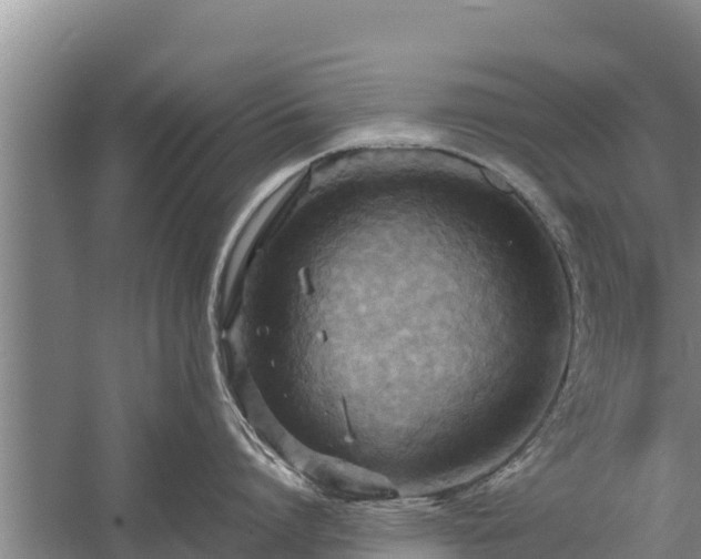 X0000058130864200509301951