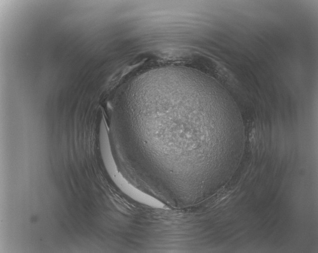 X0000058130868200509301950