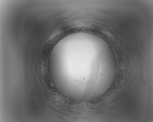 X0000058130869200509301950