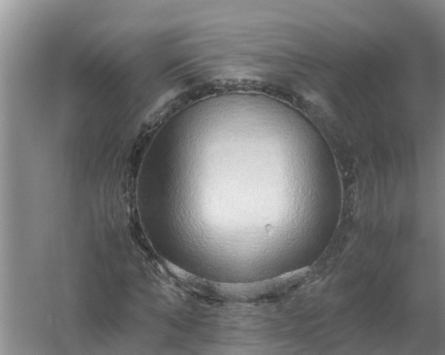 X0000058130870200509301950