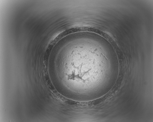 X0000058130871200509301950