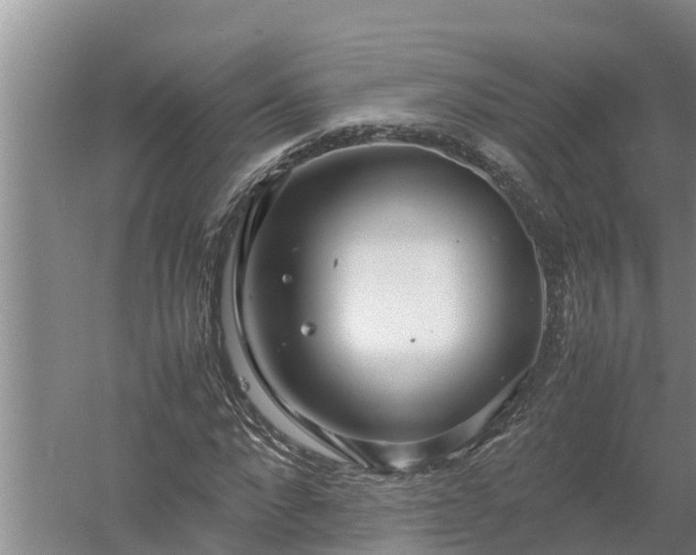 X0000058130872200509301950