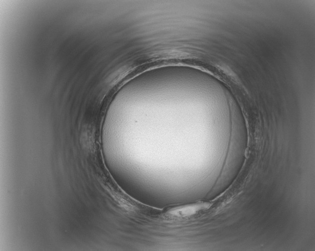 X0000058130873200509301950