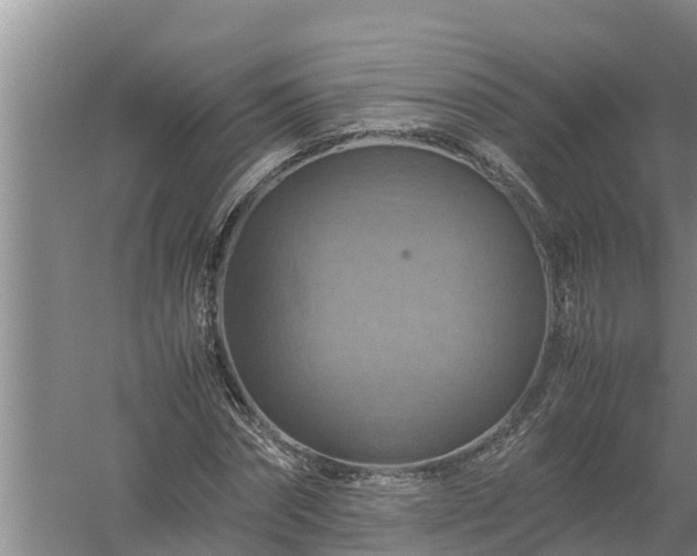 X0000058130874200509301950