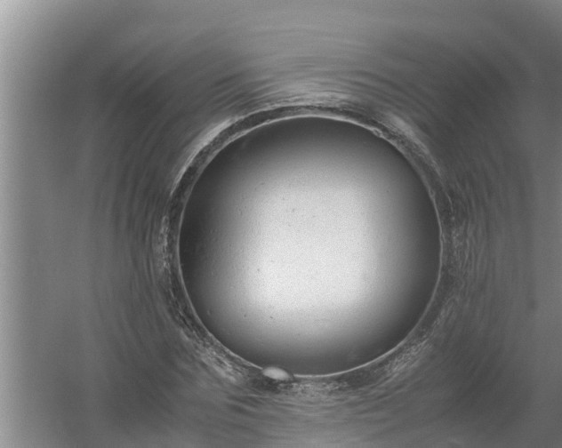 X0000058130875200509301950