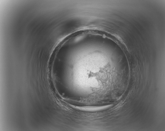 X0000058130879200509301950