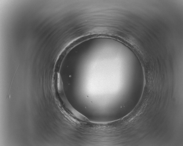 X0000058130880200509301950