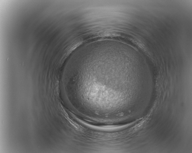 X0000058130881200509301950