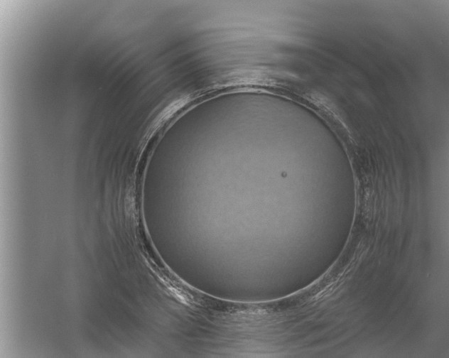 X0000058130882200509301950