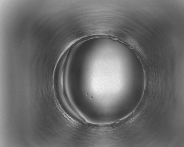 X0000058130884200509301950