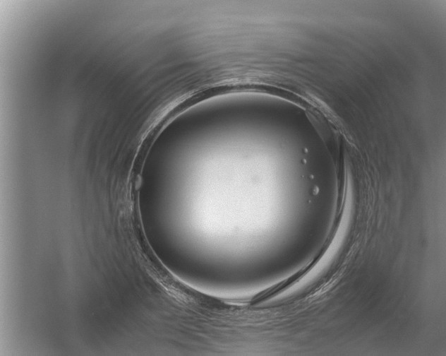 X0000058130885200509301950