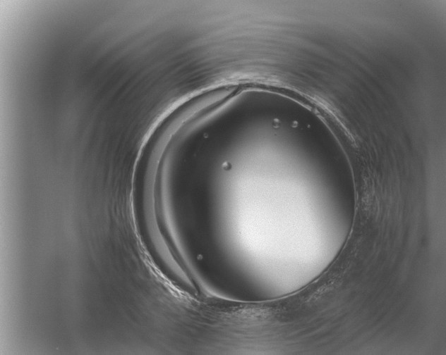 X0000058130888200509301950