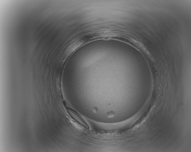 X0000058130889200509301950