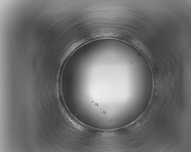 X0000058130890200509301950