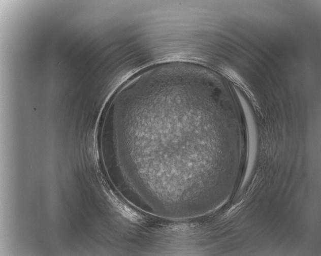 X0000058130892200509301950