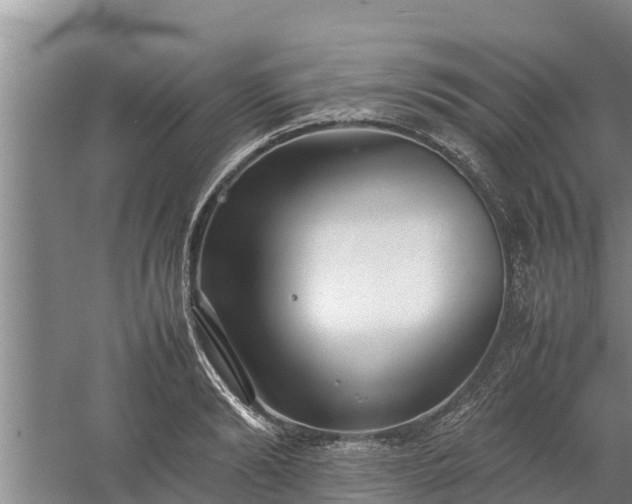 X0000058130894200509301950