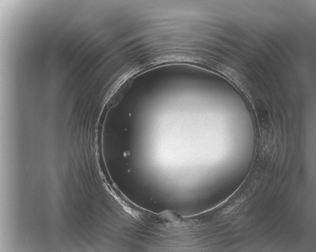 X0000058130898200509301950